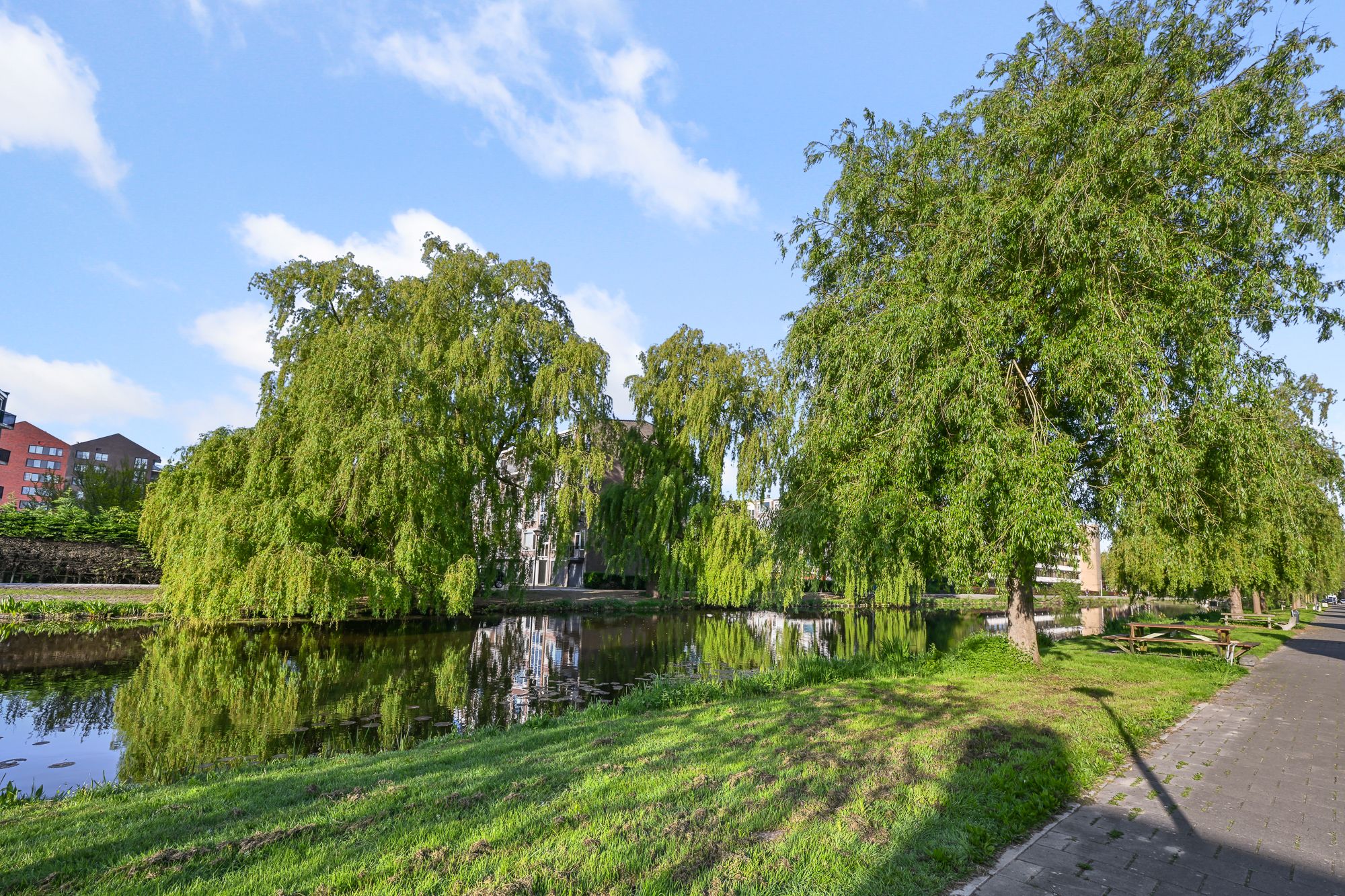 Foto 30 van Kievitstraat 18