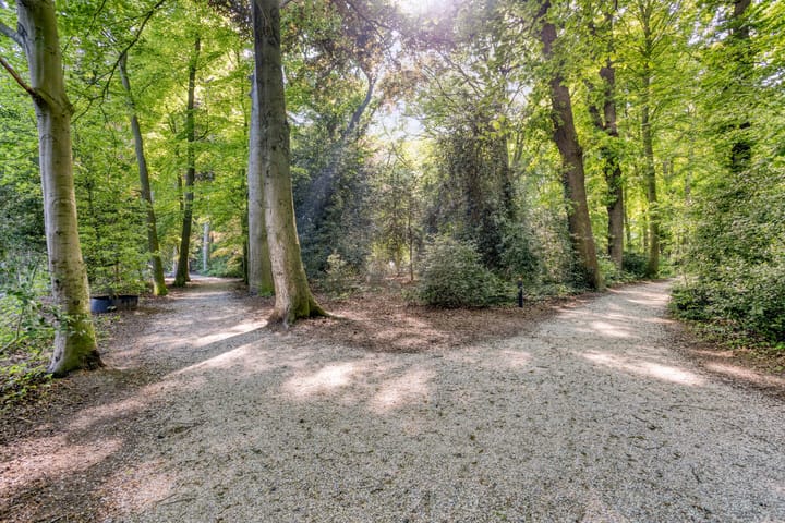 Photo 44 of Louise de Colignylaan 4