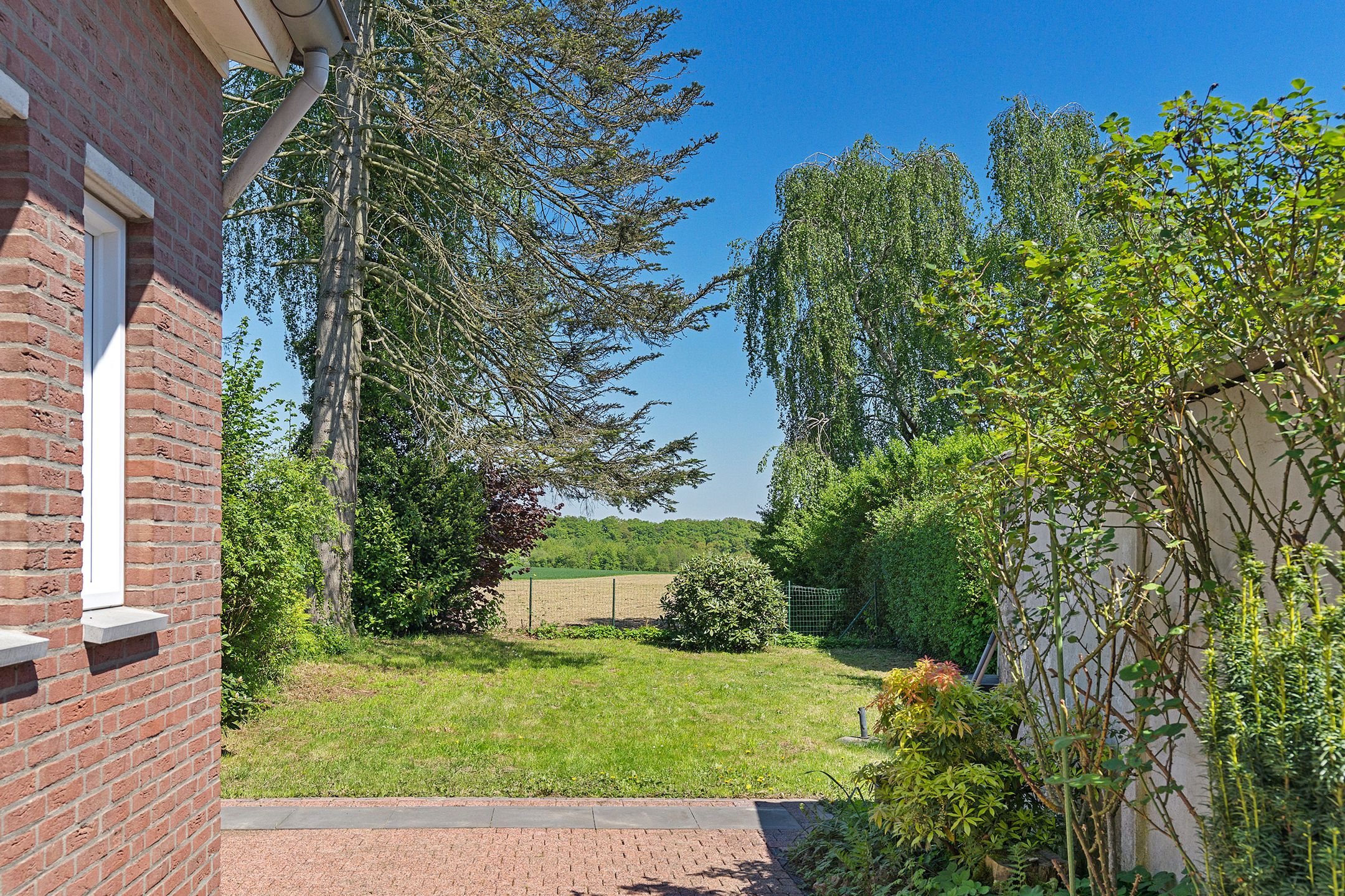 Foto 3 van Europaweg-Zuid 333