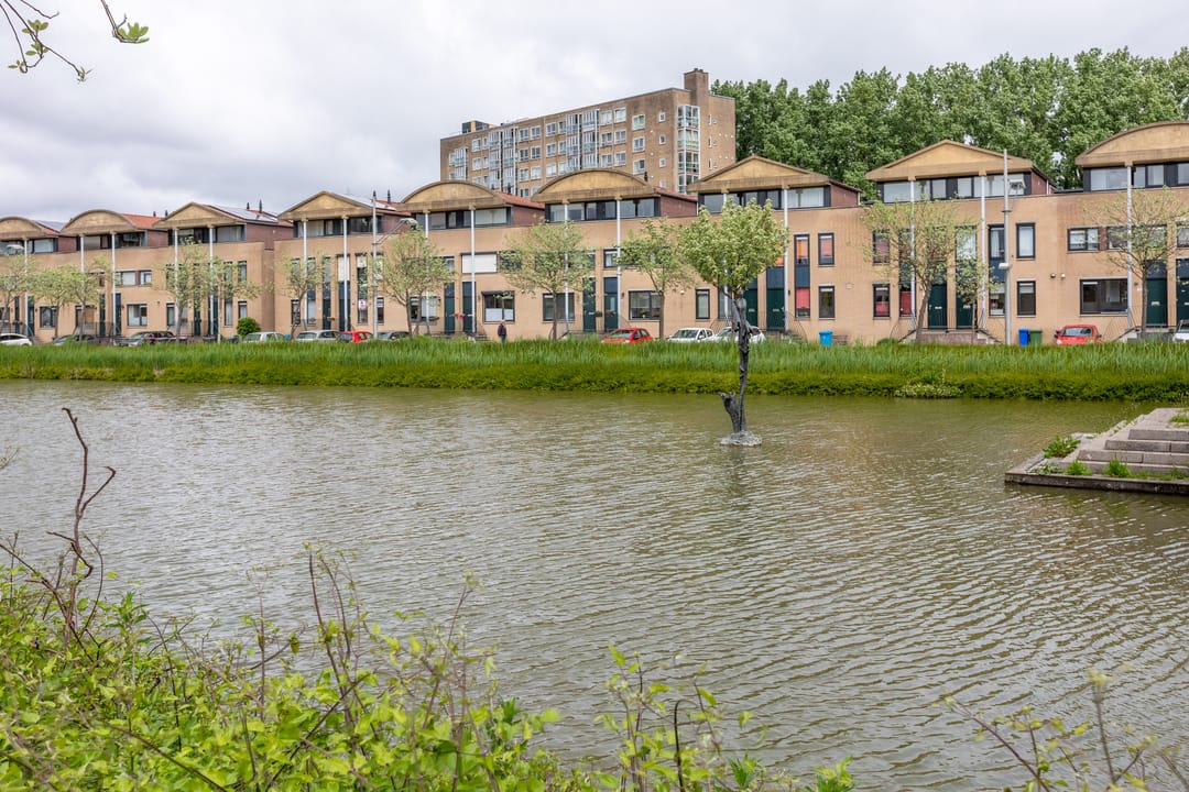 Foto 1 van Hof van Zilverlicht 41