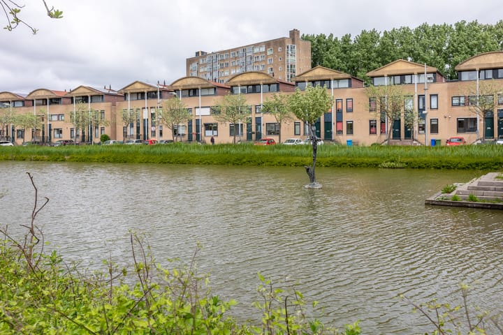 Hof van Zilverlicht 41