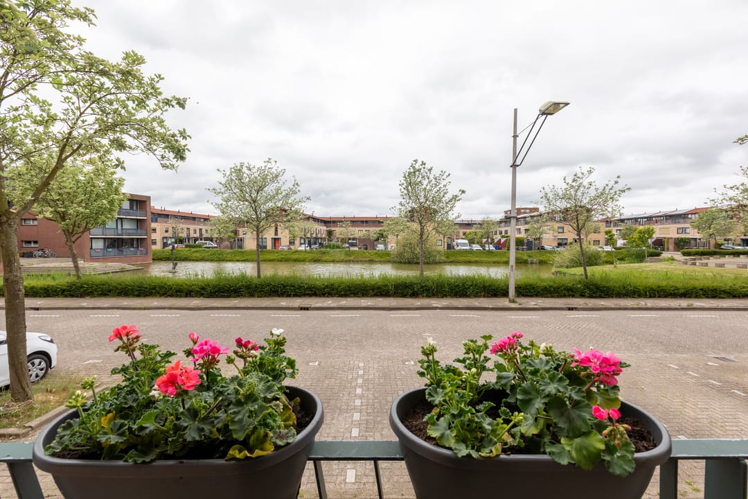 Foto 23 van Hof van Zilverlicht 41