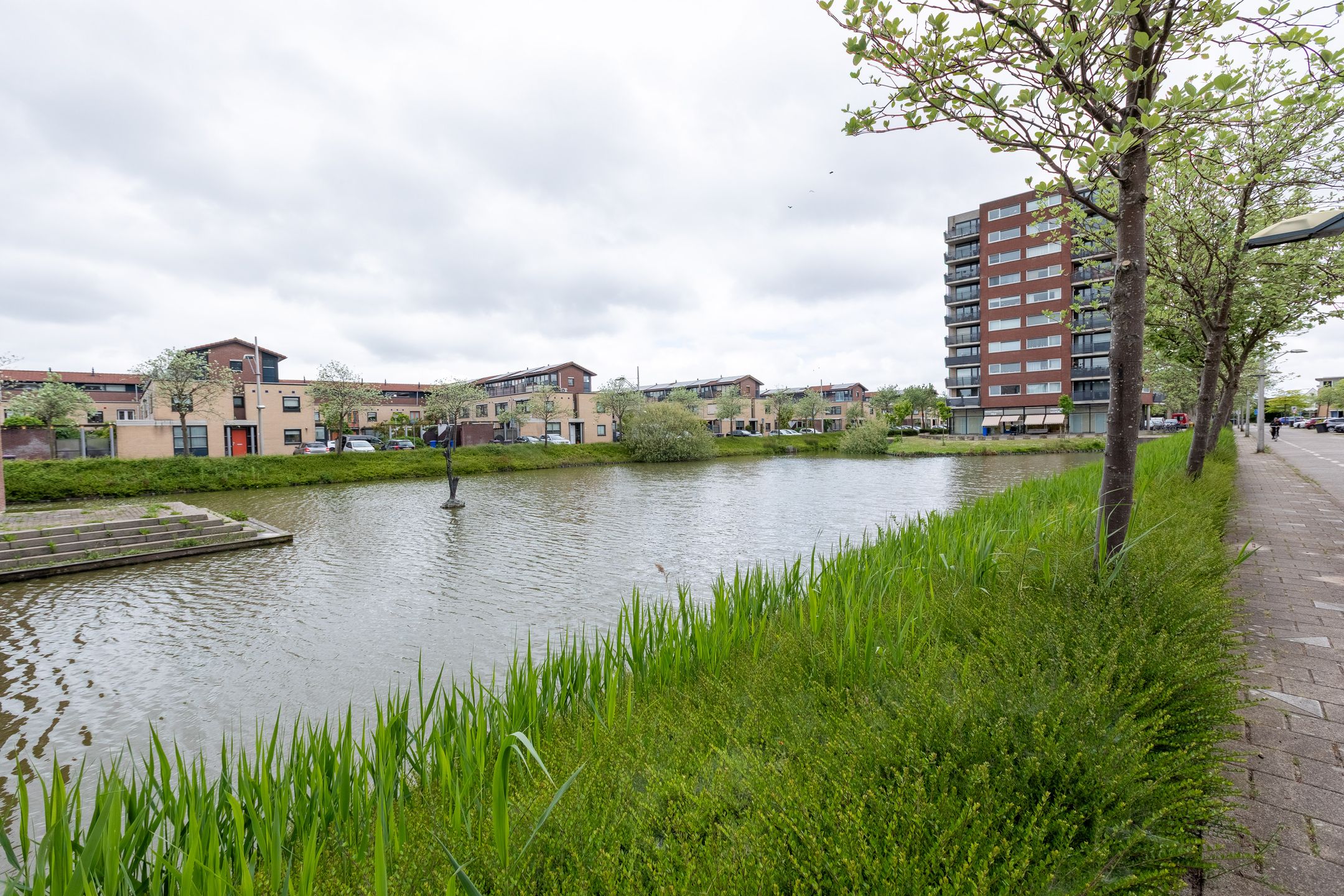 Foto 39 van Hof van Zilverlicht 41