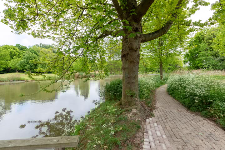 Foto 44 van Hof van Zilverlicht 41