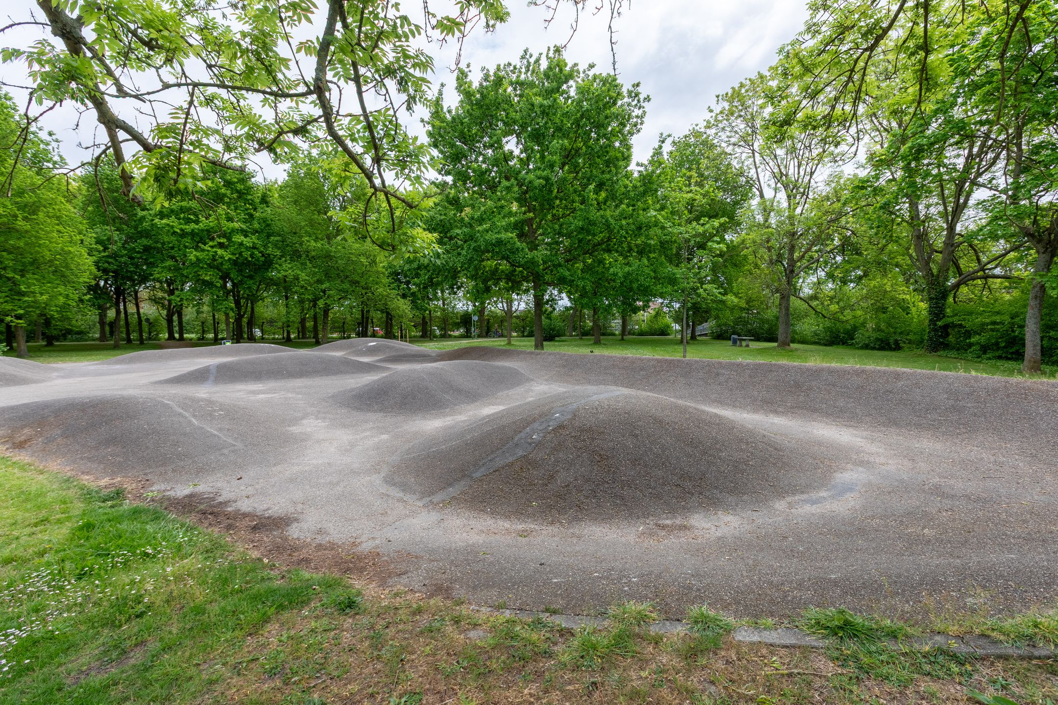 Foto 45 van Hof van Zilverlicht 41