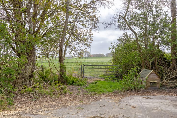 Photo 50 of Lotweg 36