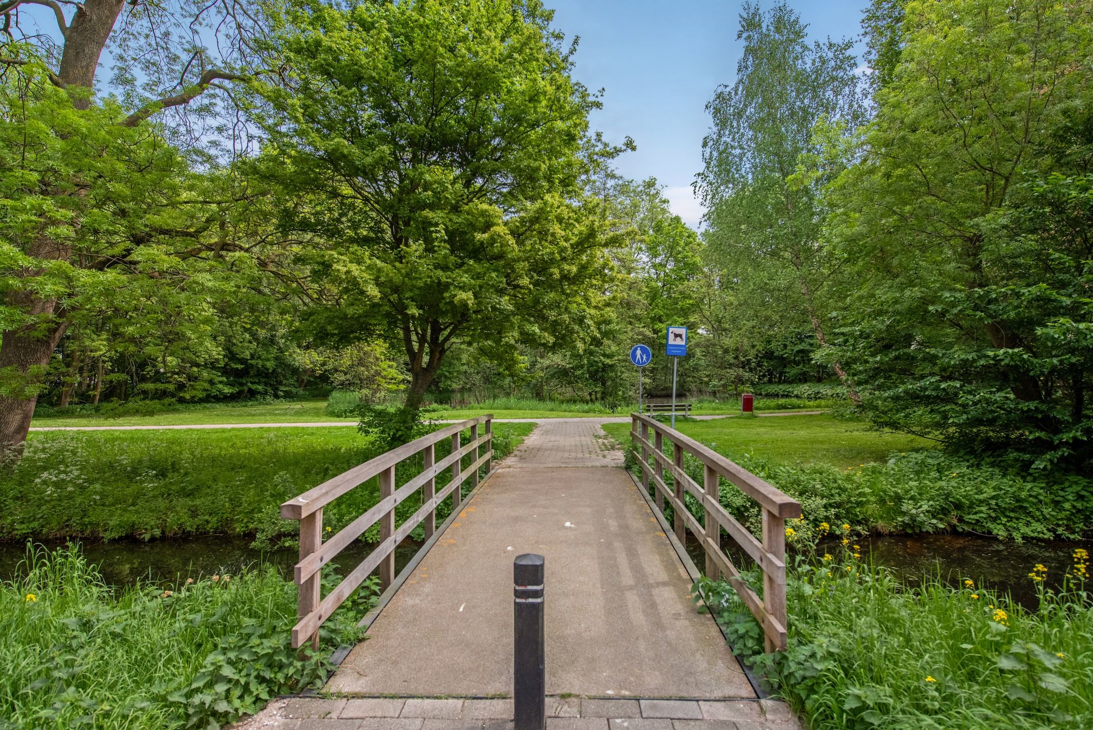 Foto 30 van Via Verdi 115