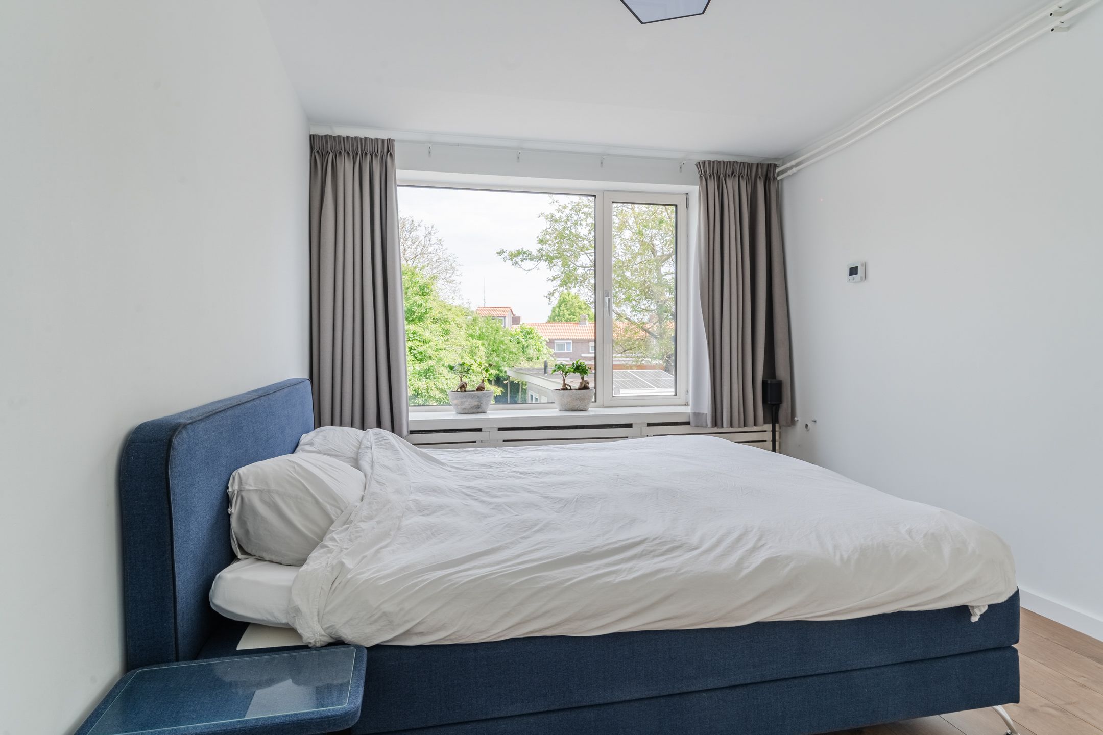 Foto 21 van Wilteindstraat 17