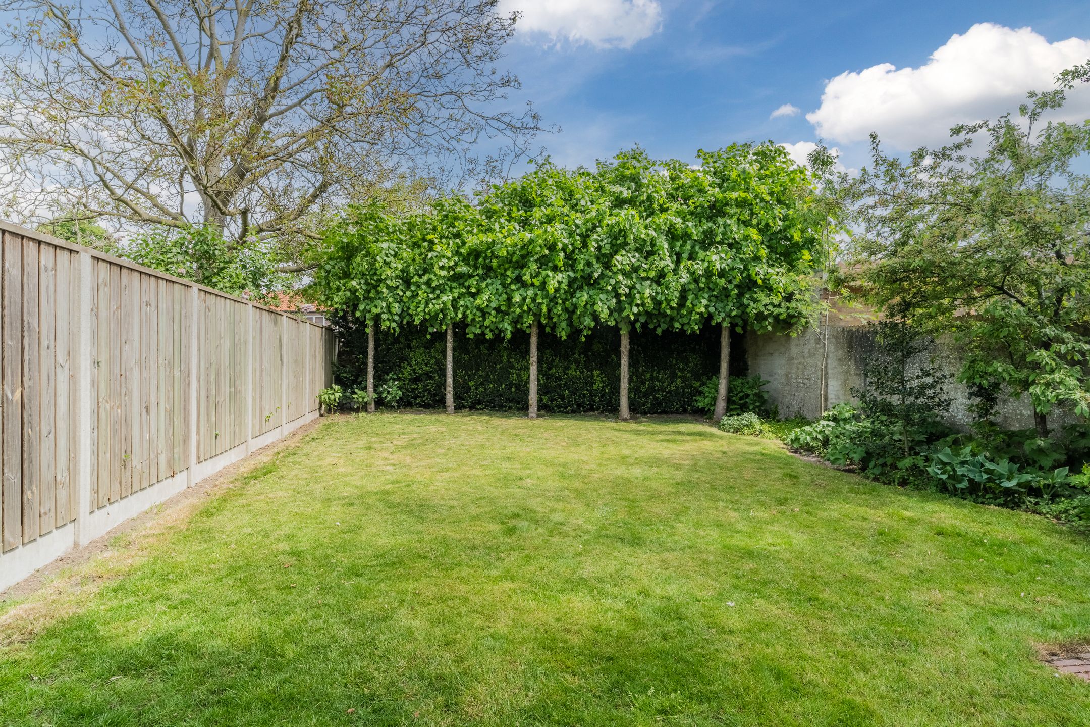 Foto 39 van Wilteindstraat 17