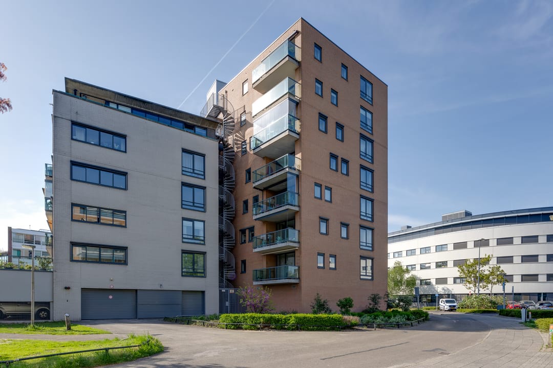 Foto 1 van Iepstate 21