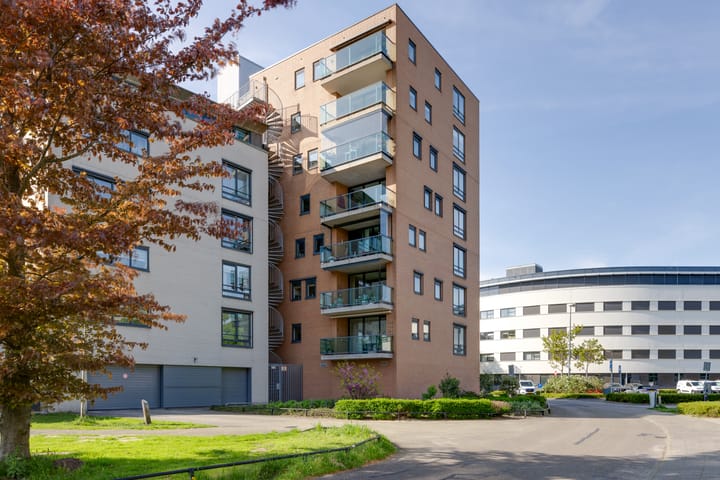 Foto 34 van Iepstate 21