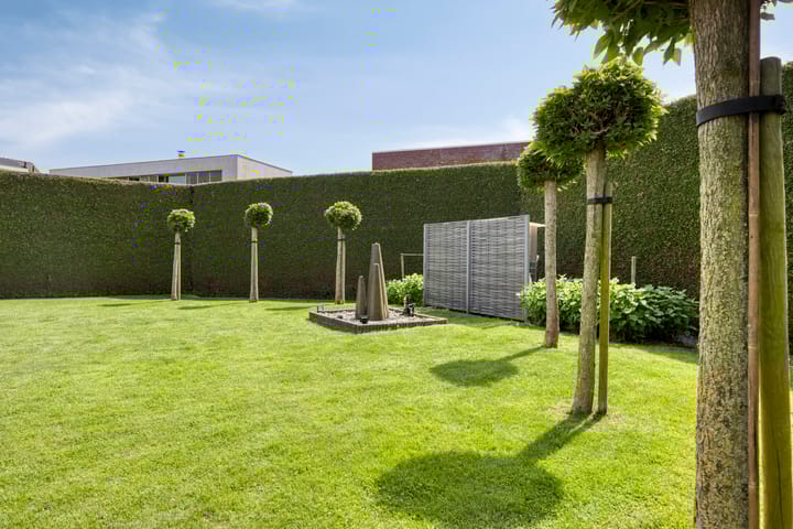 Foto 21 van Fruitwei 6