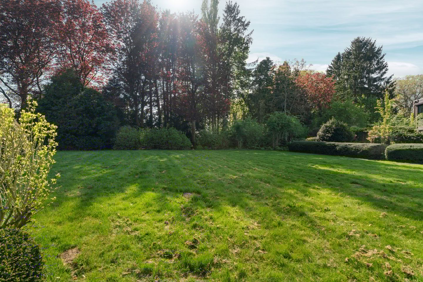 Foto 40 van Everwijnlaan 13