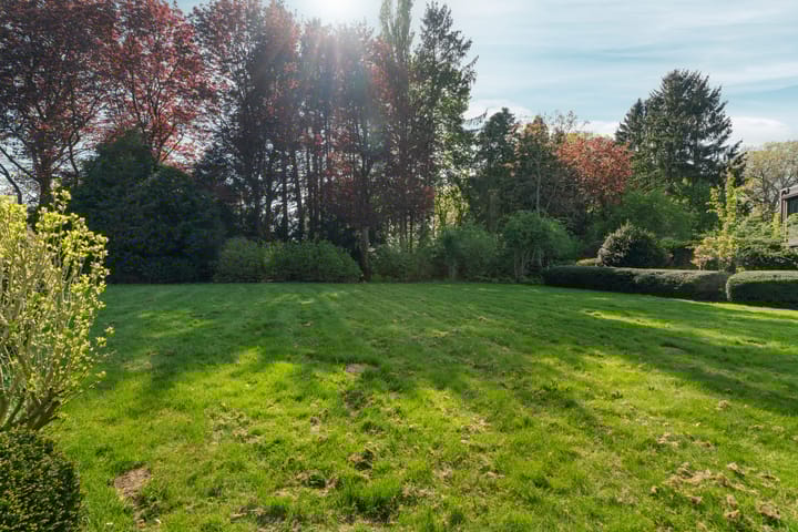 Foto 40 van Everwijnlaan 13