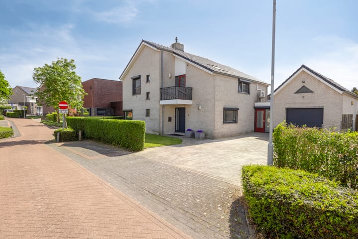 Foto 51 van Fruitwei 6