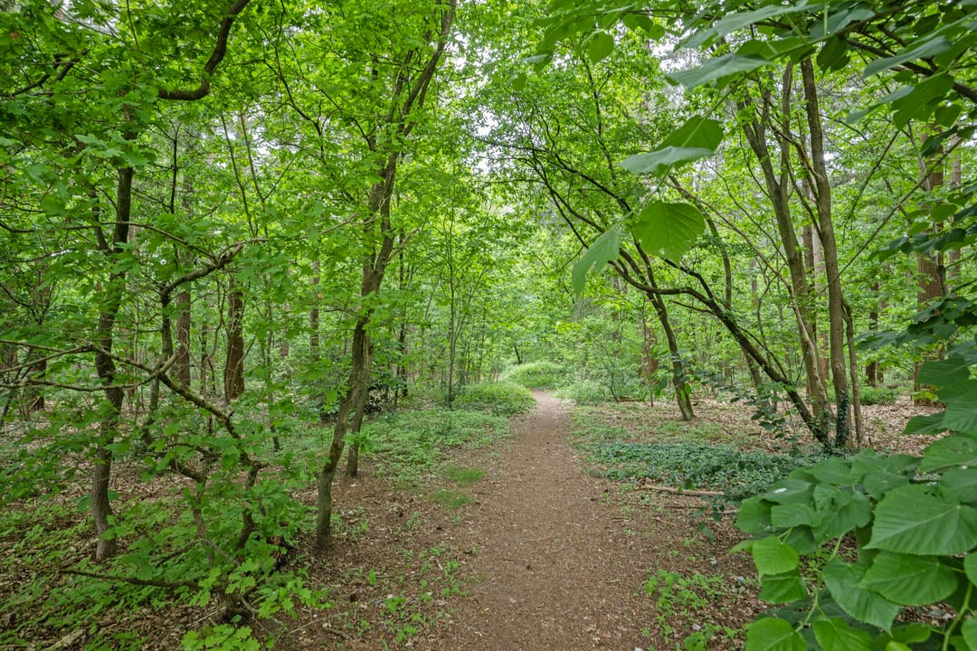 Foto 46 van Havikstraat 20