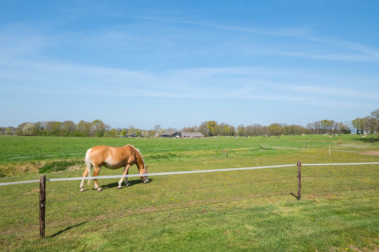 Foto 29 van Markerinkdijk 42