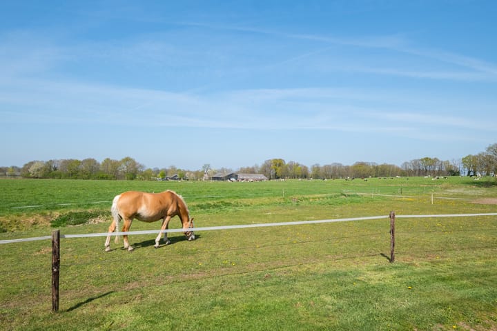 Foto 29 van Markerinkdijk 42