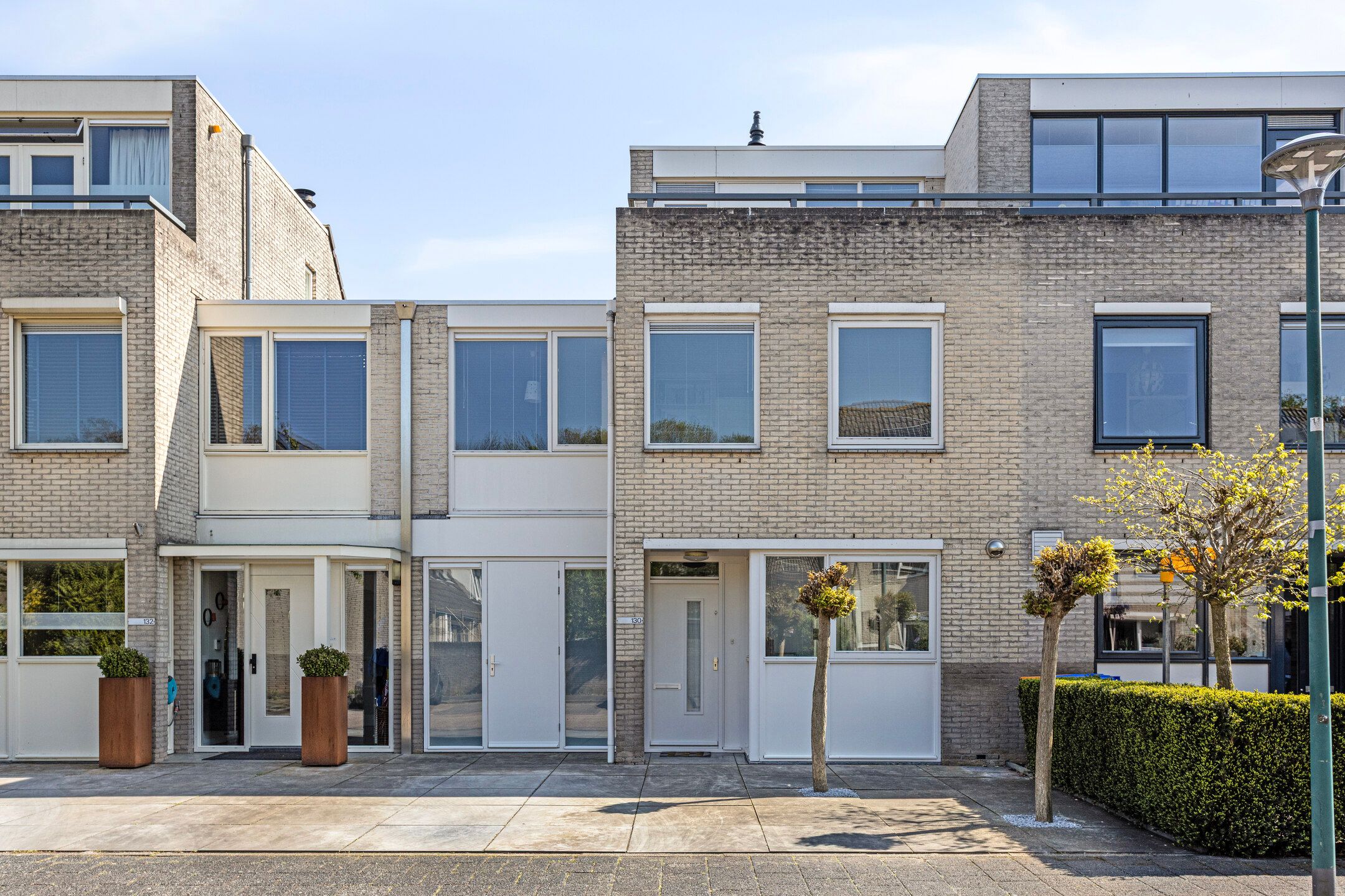 Foto 3 van IJsvogel 130