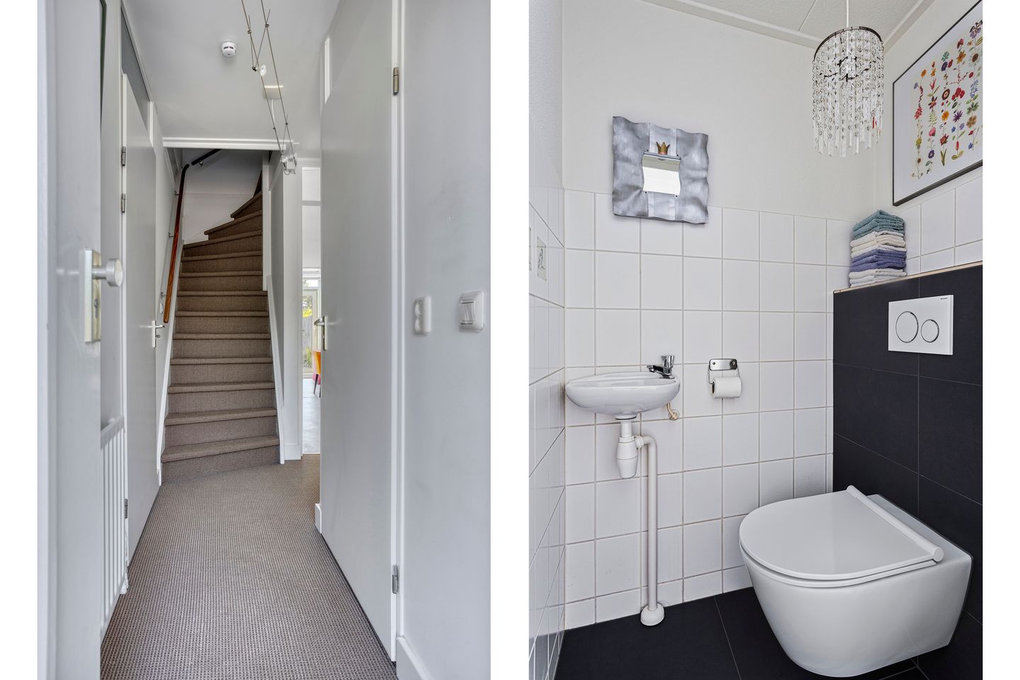 Foto 4 van IJsvogel 130