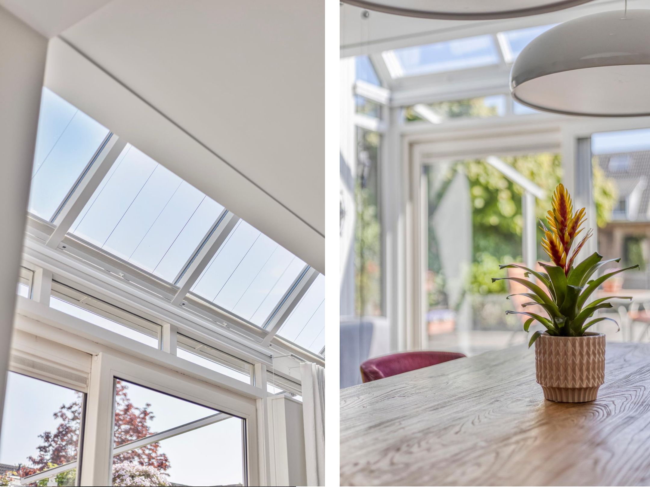 Foto 9 van IJsvogel 130