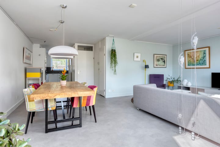 Foto 10 van IJsvogel 130