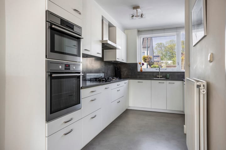 Foto 13 van IJsvogel 130