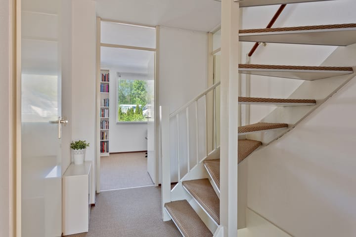 Foto 17 van IJsvogel 130