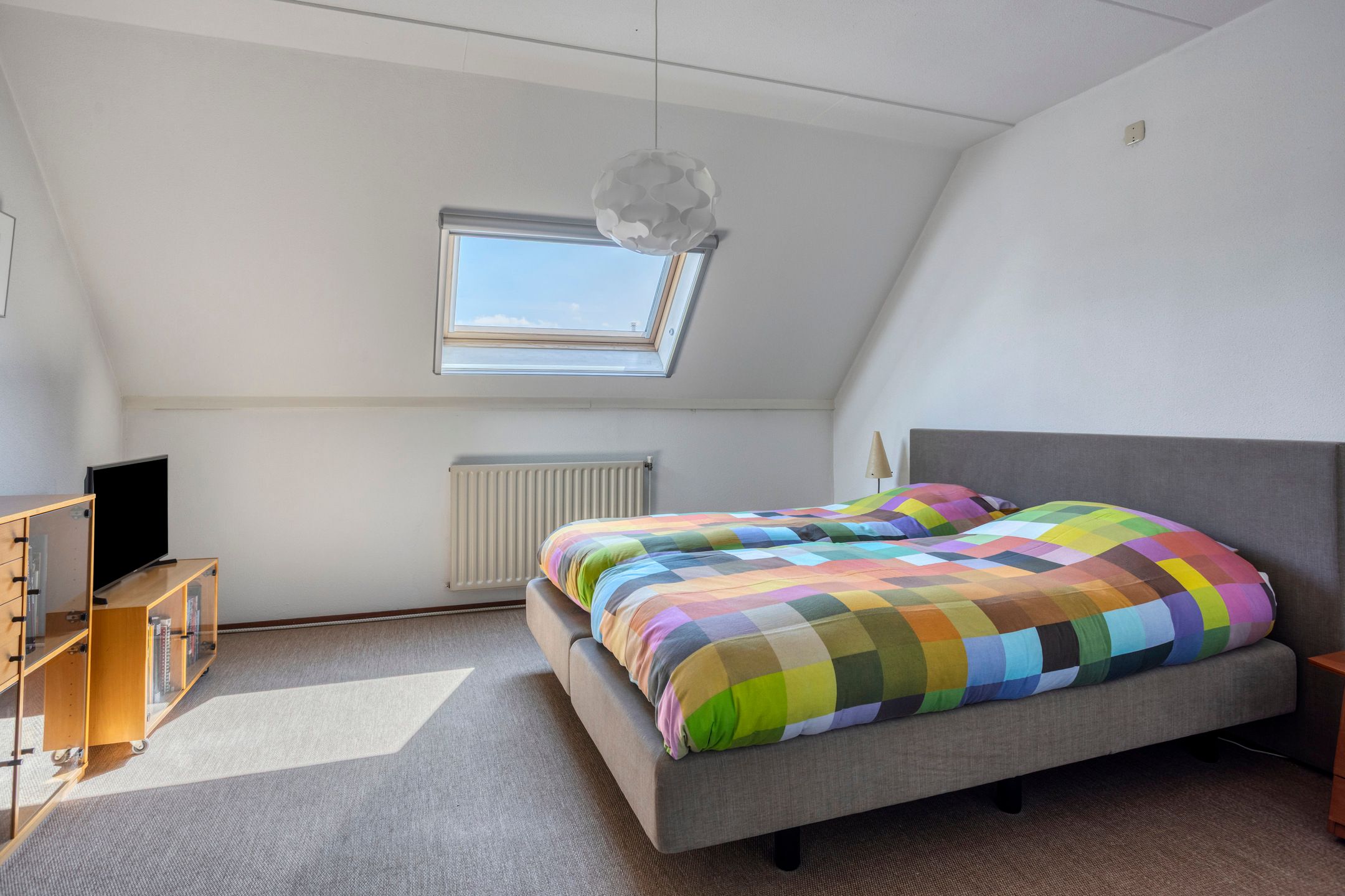 Foto 18 van IJsvogel 130