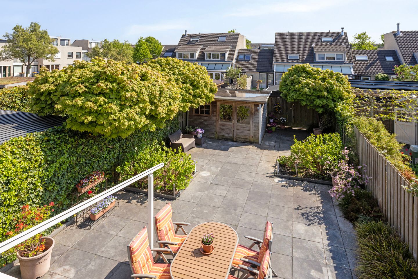 Foto 20 van IJsvogel 130