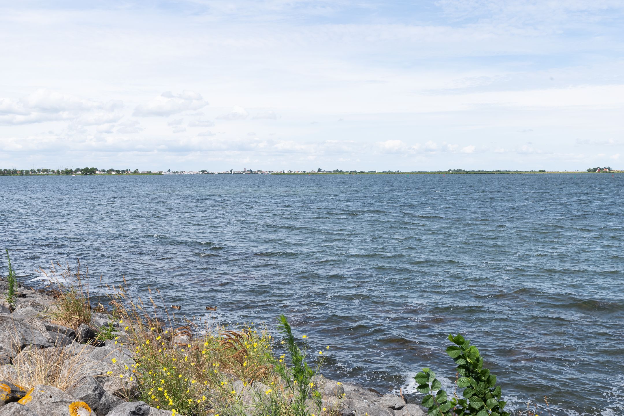 Foto 36 van Cornelis Zillesenlaan 64-C