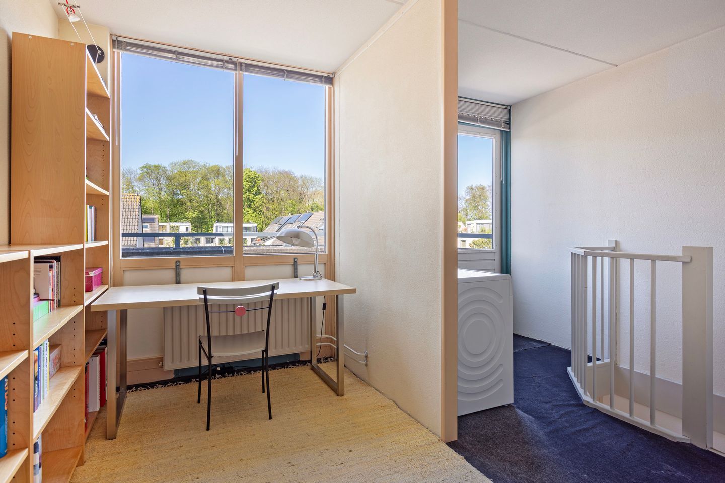 Foto 29 van IJsvogel 130