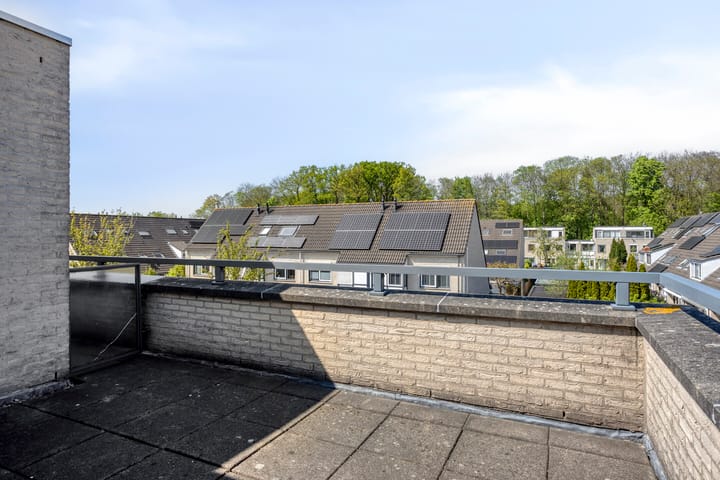 Foto 30 van IJsvogel 130