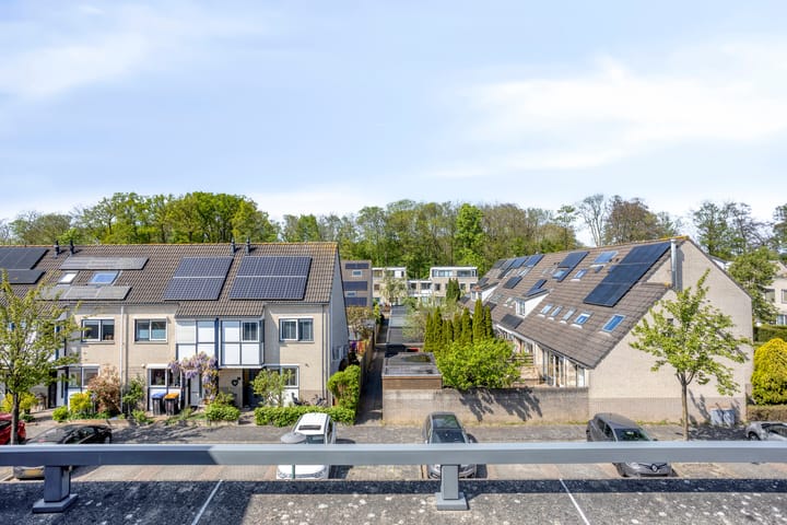 Foto 31 van IJsvogel 130