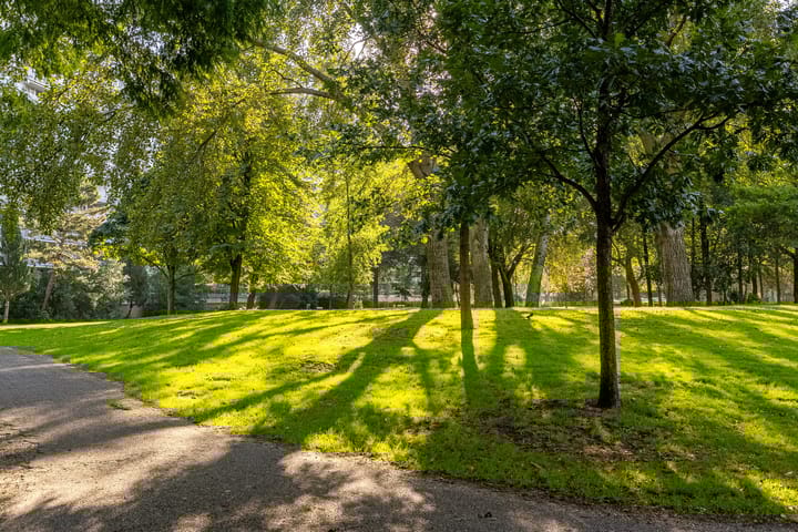 Foto 24 van Smetanalaan 68