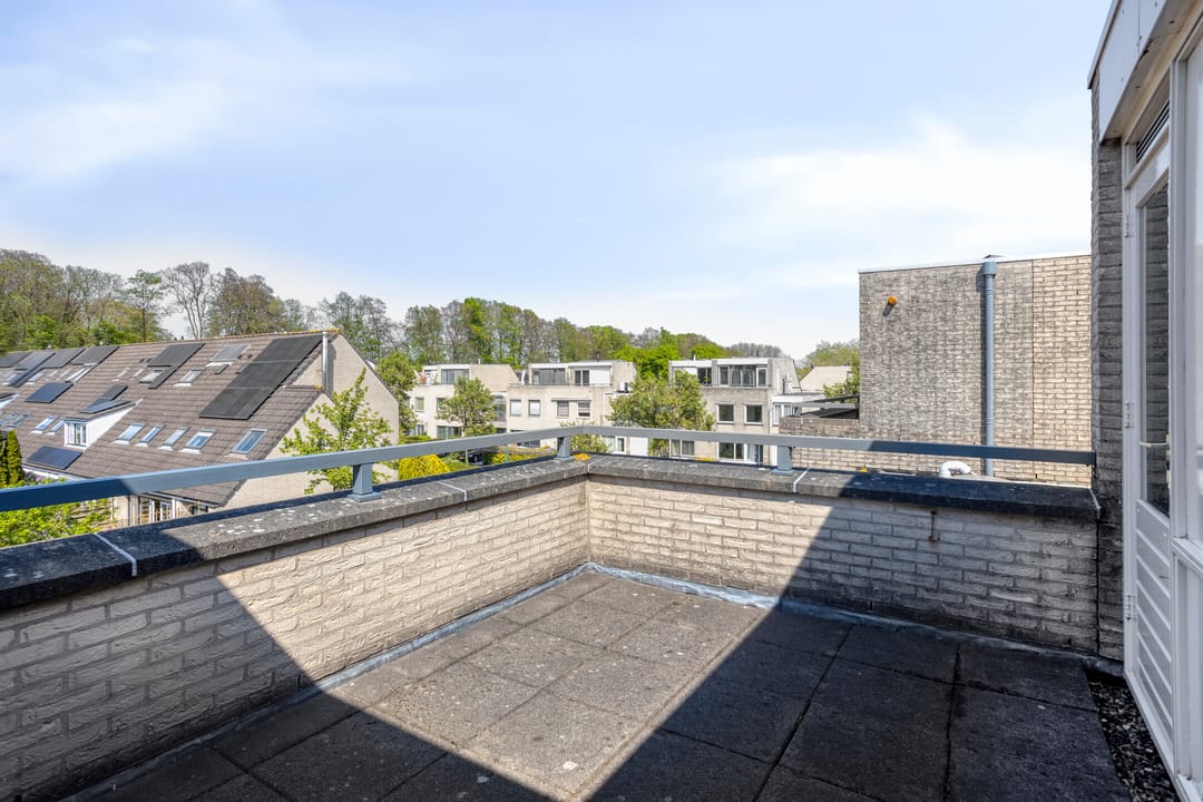 Foto 32 van IJsvogel 130