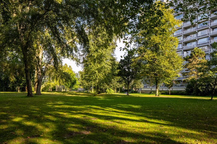 Foto 25 van Smetanalaan 68