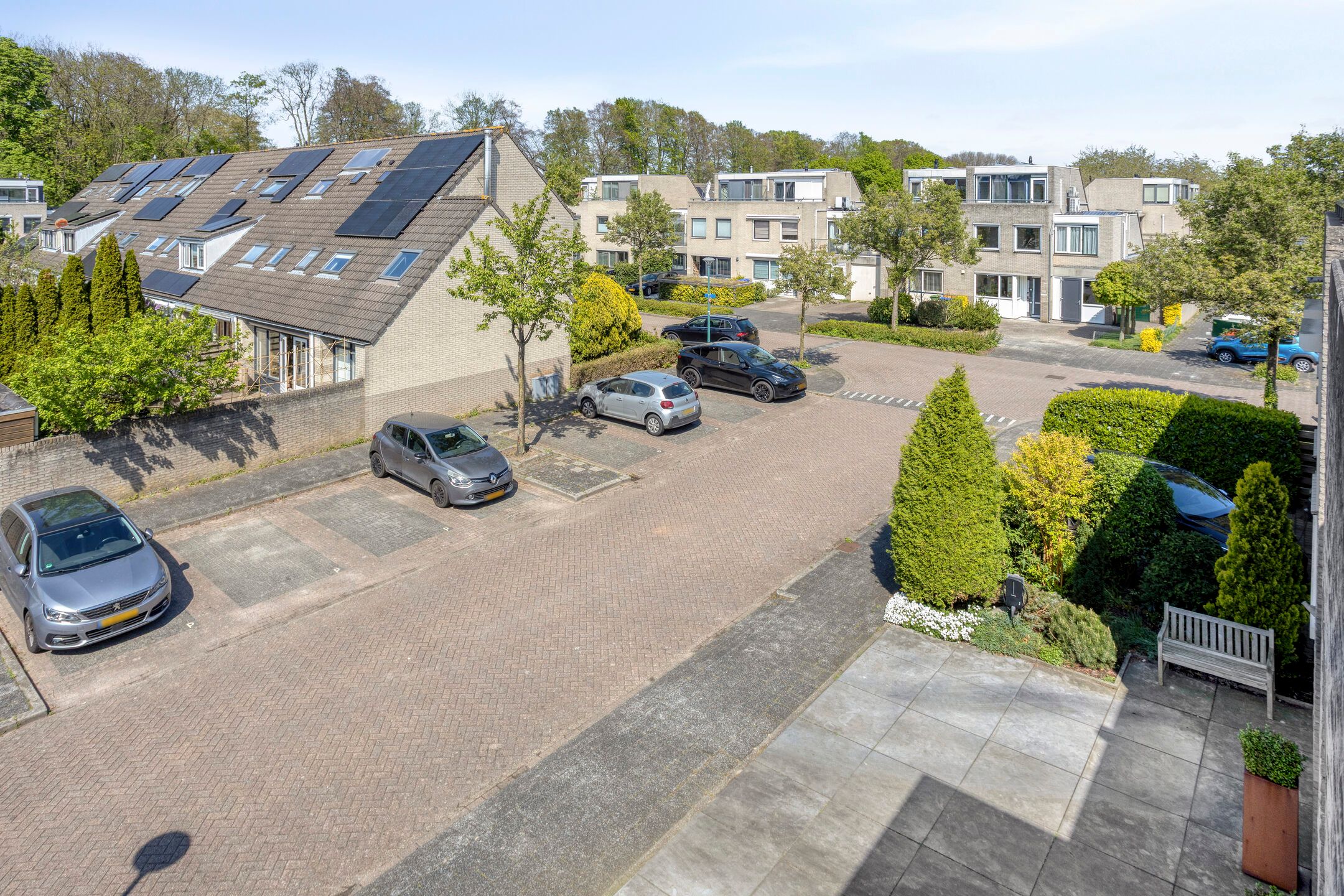 Foto 33 van IJsvogel 130