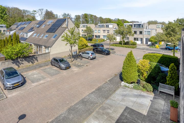 Foto 33 van IJsvogel 130