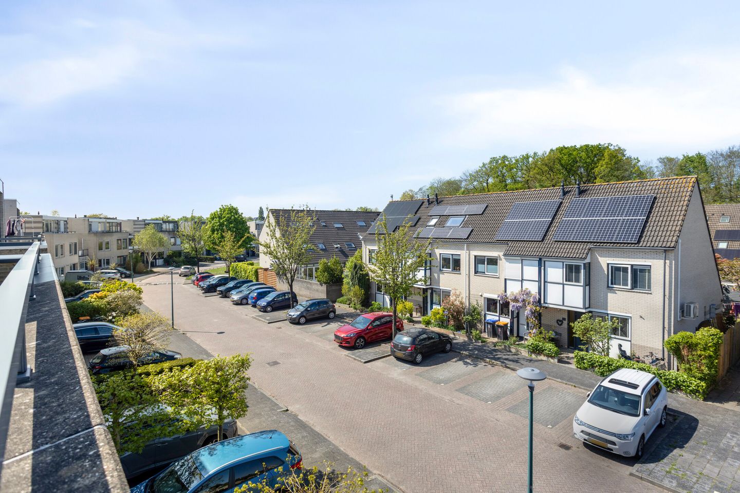 Foto 34 van IJsvogel 130