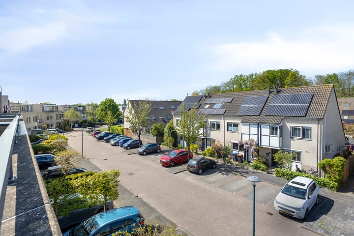 Foto 34 van IJsvogel 130