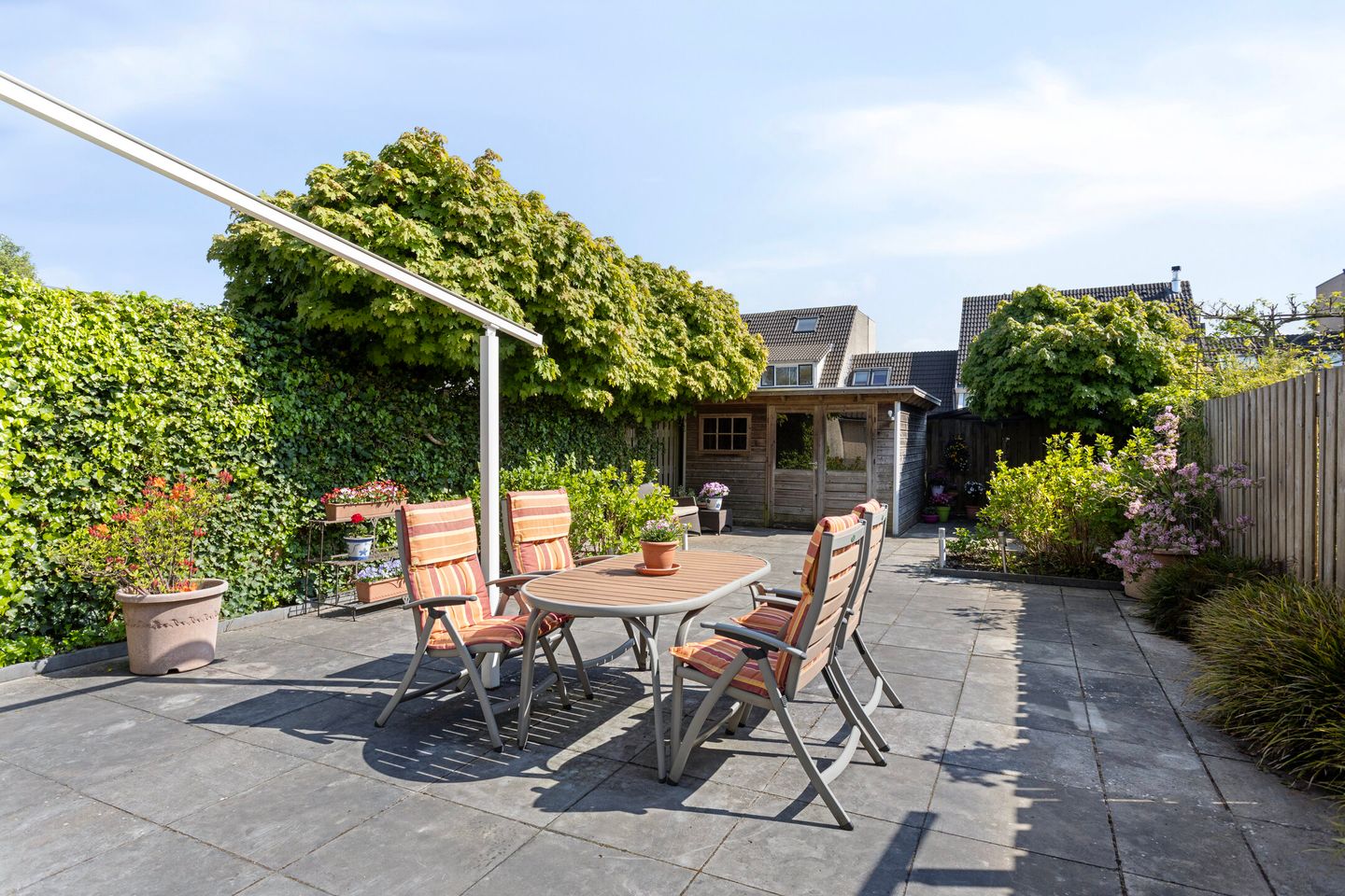 Foto 35 van IJsvogel 130