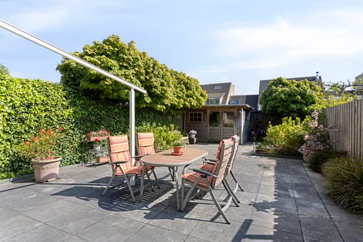 Foto 35 van IJsvogel 130