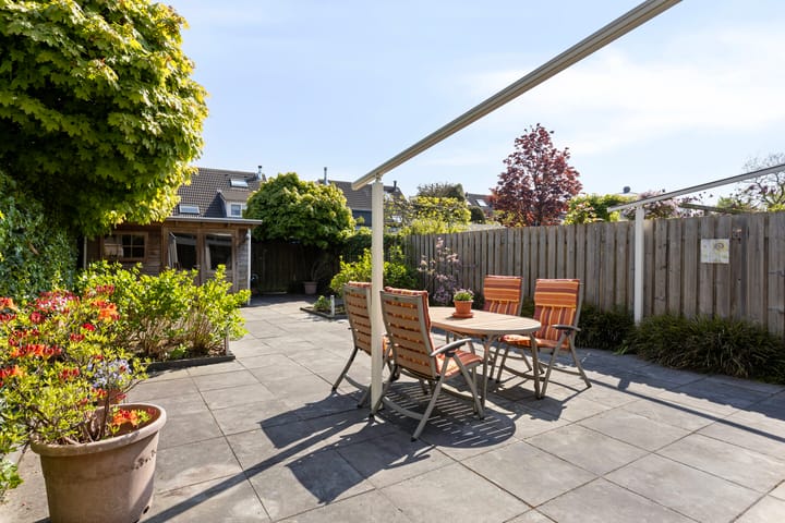 Foto 36 van IJsvogel 130