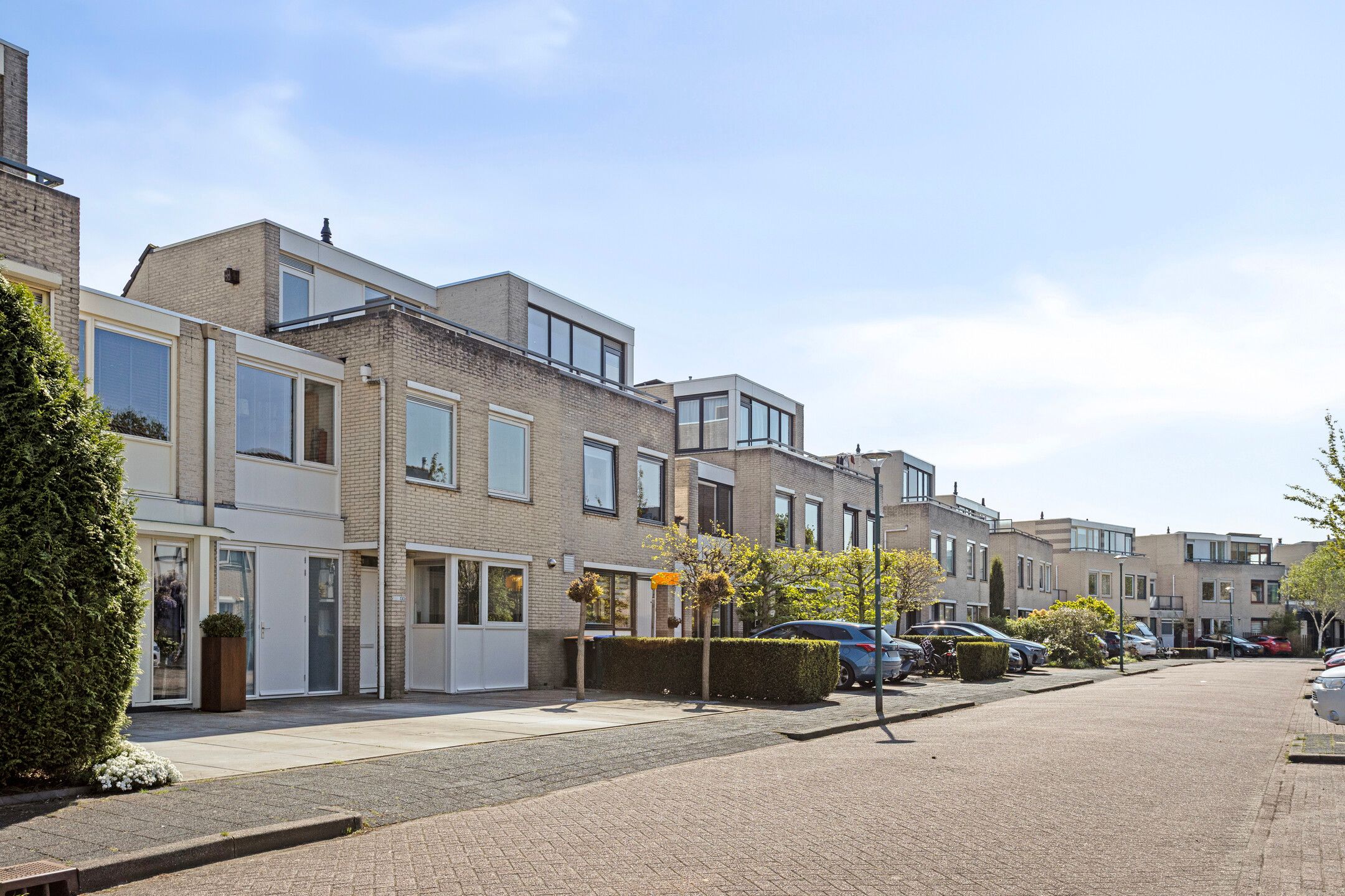 Foto 39 van IJsvogel 130