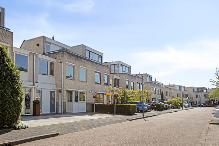 Foto 39 van IJsvogel 130