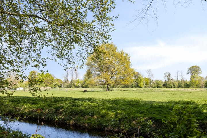 Foto 40 van IJsvogel 130