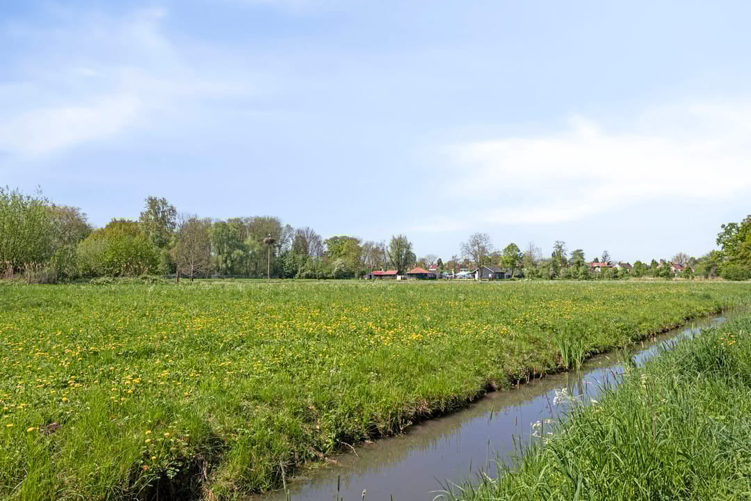 Foto 41 van IJsvogel 130