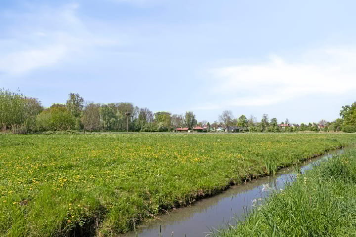 Foto 41 van IJsvogel 130