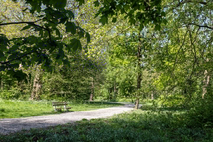 Foto 42 van IJsvogel 130